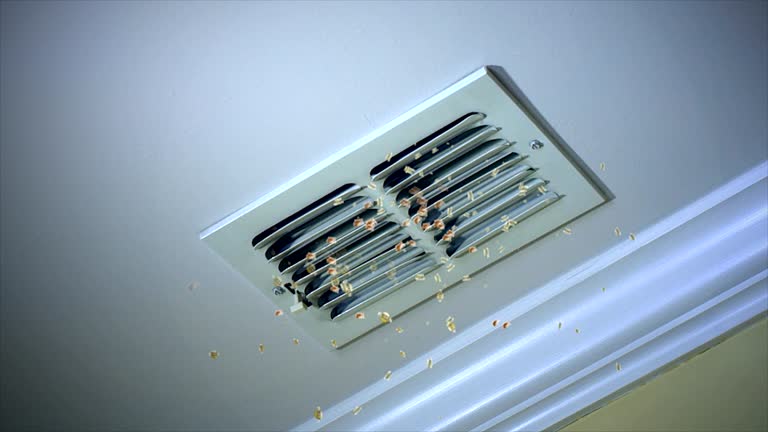 Best Best Air Duct Cleaning Company  in Anthem, AZ