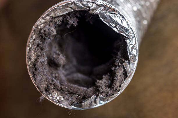 Best Air Duct Cleaning Near Me  in Anthem, AZ
