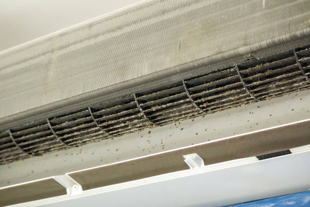 Best Air Vent Cleaning Services  in Anthem, AZ