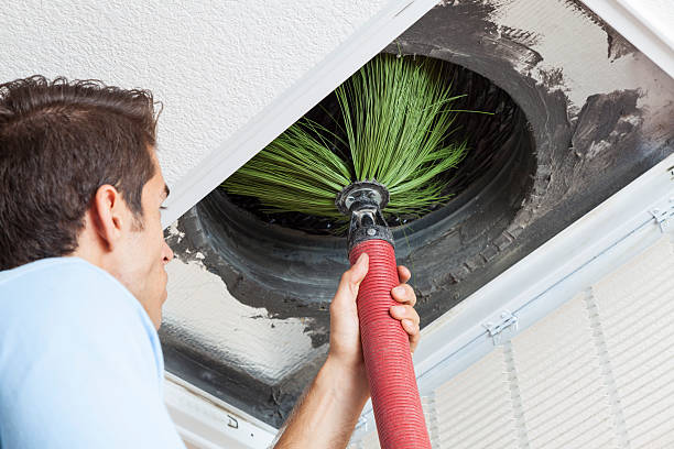 Best Air Duct Sanitizing Services  in Anthem, AZ